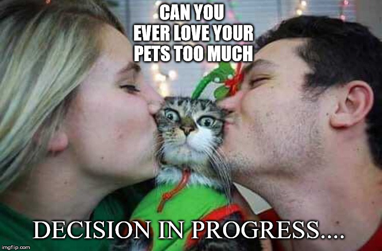 In Progress.... | CAN YOU EVER LOVE YOUR PETS TOO MUCH; DECISION IN PROGRESS.... | image tagged in kissing,cat,pets,love,too much,decision | made w/ Imgflip meme maker