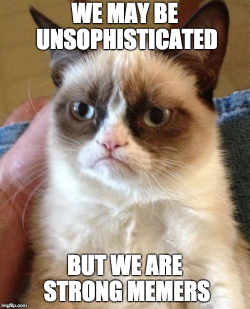 Grumpy Cat Meme | WE MAY BE UNSOPHISTICATED BUT WE ARE STRONG MEMERS | image tagged in memes,grumpy cat | made w/ Imgflip meme maker