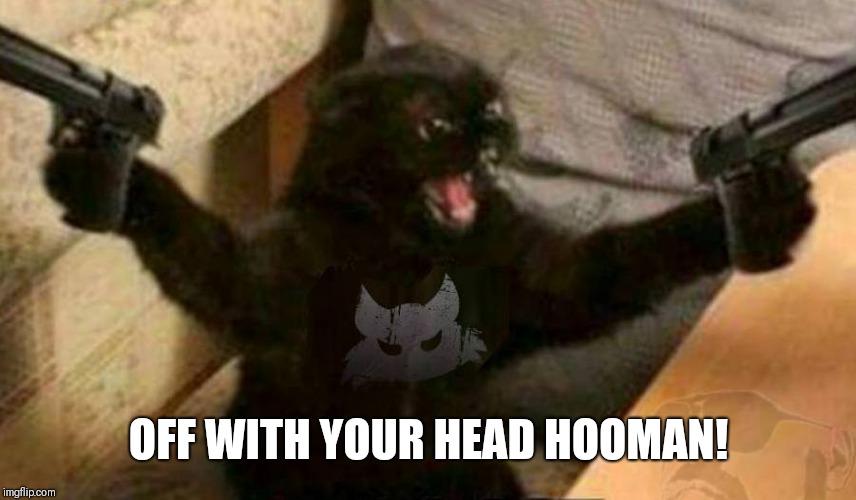 Cat With Guns | OFF WITH YOUR HEAD HOOMAN! | image tagged in cat with guns | made w/ Imgflip meme maker