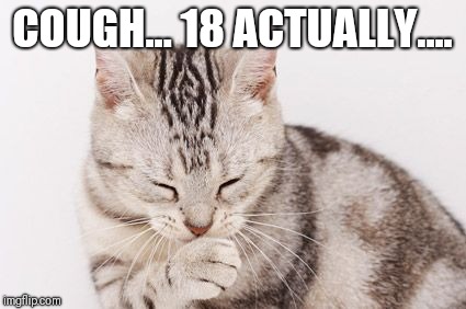 Coughing cat | COUGH... 18 ACTUALLY.... | image tagged in coughing cat | made w/ Imgflip meme maker
