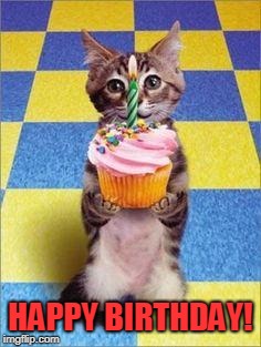Happy Birthday Cat | HAPPY BIRTHDAY! | image tagged in happy birthday cat | made w/ Imgflip meme maker