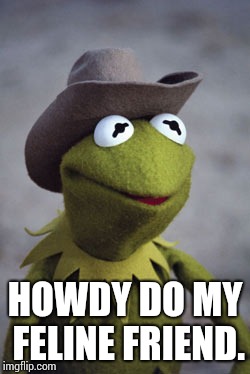 Texas Kermit | HOWDY DO MY FELINE FRIEND. | image tagged in texas kermit | made w/ Imgflip meme maker