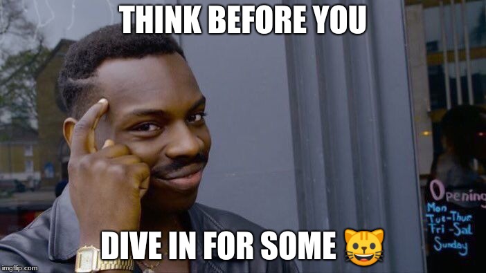Roll Safe Think About It | THINK BEFORE YOU; DIVE IN FOR SOME 😺 | image tagged in memes,roll safe think about it | made w/ Imgflip meme maker