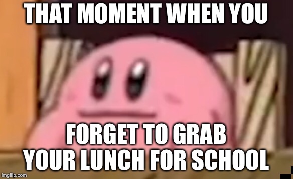 THAT MOMENT WHEN YOU; FORGET TO GRAB YOUR LUNCH FOR SCHOOL | image tagged in kirby,funny face,fun | made w/ Imgflip meme maker