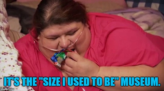 Fat | IT'S THE "SIZE I USED TO BE" MUSEUM. | image tagged in fat | made w/ Imgflip meme maker