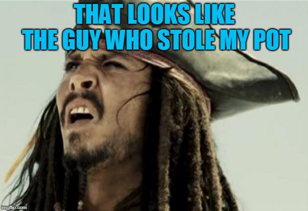 confused dafuq jack sparrow what | THAT LOOKS LIKE THE GUY WHO STOLE MY POT | image tagged in confused dafuq jack sparrow what | made w/ Imgflip meme maker