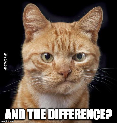 Doubting Cat | AND THE DIFFERENCE? | image tagged in doubting cat | made w/ Imgflip meme maker