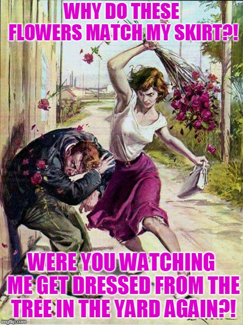 it was then that he decided being a peeping Tom just isn't worth the pain. | WHY DO THESE FLOWERS MATCH MY SKIRT?! WERE YOU WATCHING ME GET DRESSED FROM THE TREE IN THE YARD AGAIN?! | image tagged in beaten with roses,nixieknox,memes | made w/ Imgflip meme maker