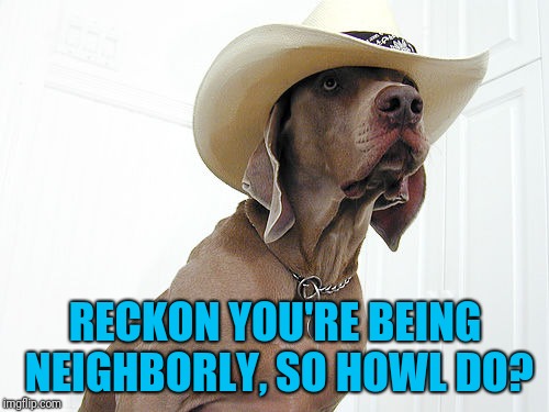 RECKON YOU'RE BEING NEIGHBORLY, SO HOWL DO? | made w/ Imgflip meme maker