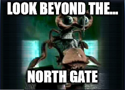 2qakzf.jpg