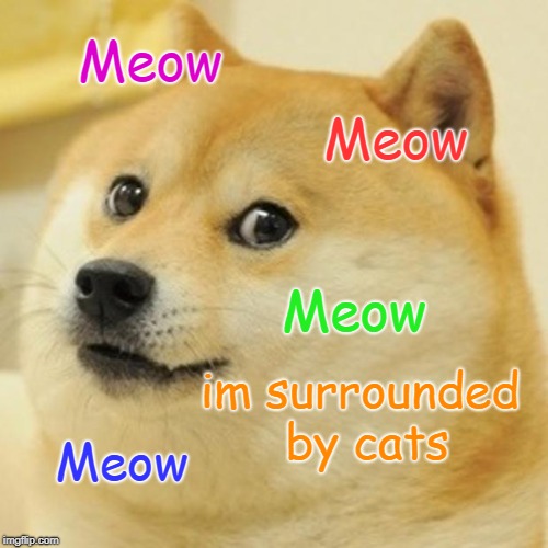 Doge Meme | Meow; Meow; Meow; im surrounded by cats; Meow | image tagged in memes,doge | made w/ Imgflip meme maker