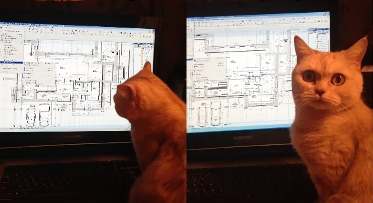 High Quality calculations cat Blank Meme Template