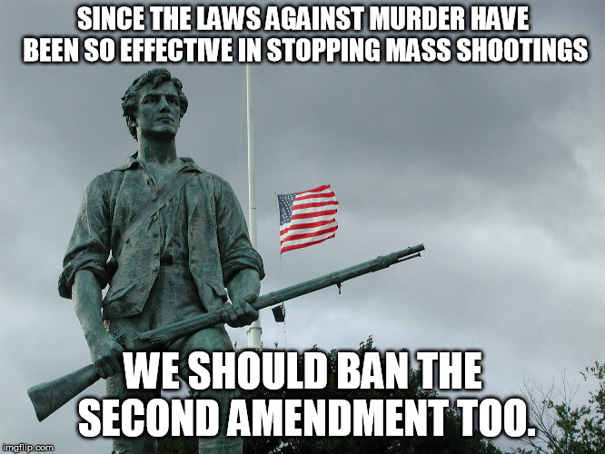 Now here's some really good anti-gun logic........NOT! | SINCE THE LAWS AGAINST MURDER HAVE BEEN SO EFFECTIVE IN STOPPING MASS SHOOTINGS; WE SHOULD BAN THE SECOND AMENDMENT TOO. | image tagged in minuteman statue | made w/ Imgflip meme maker