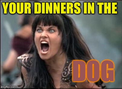 Angry Xena | YOUR DINNERS IN THE DOG | image tagged in angry xena | made w/ Imgflip meme maker