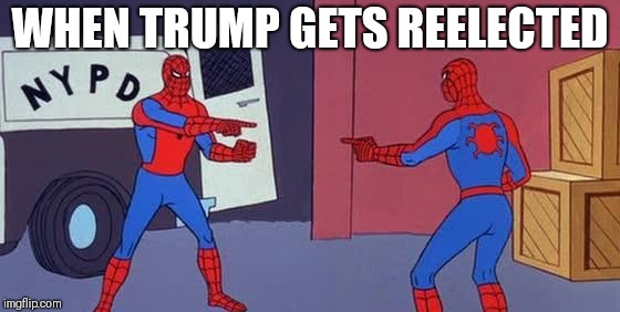 Spider Man Double | WHEN TRUMP GETS REELECTED | image tagged in spider man double | made w/ Imgflip meme maker