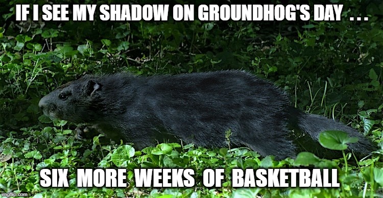 black groundhog day | IF I SEE MY SHADOW ON GROUNDHOG'S DAY  . . . SIX  MORE  WEEKS  OF  BASKETBALL | image tagged in basketball | made w/ Imgflip meme maker