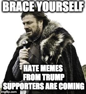ned stark | BRACE YOURSELF HATE MEMES FROM TRUMP SUPPORTERS ARE COMING | image tagged in ned stark | made w/ Imgflip meme maker