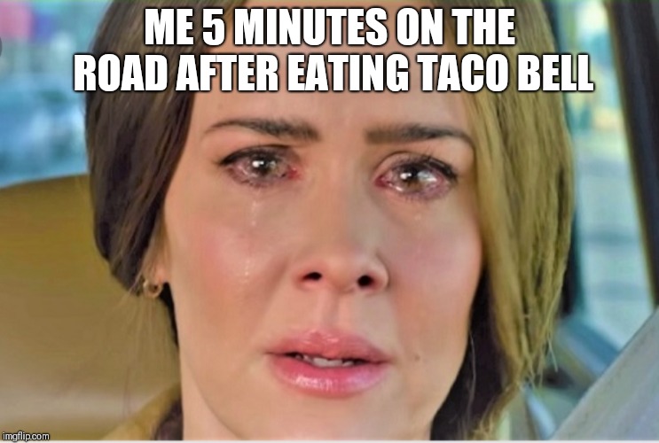 Bird Box | ME 5 MINUTES ON THE ROAD AFTER EATING TACO BELL | image tagged in taco bell,bird box | made w/ Imgflip meme maker