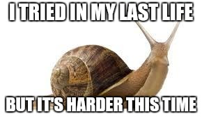 SNAIL | I TRIED IN MY LAST LIFE BUT IT'S HARDER THIS TIME | image tagged in snail | made w/ Imgflip meme maker