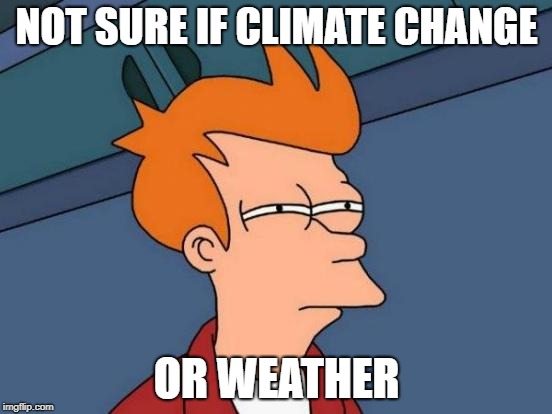 Futurama Fry Meme | NOT SURE IF CLIMATE CHANGE; OR WEATHER | image tagged in memes,futurama fry | made w/ Imgflip meme maker