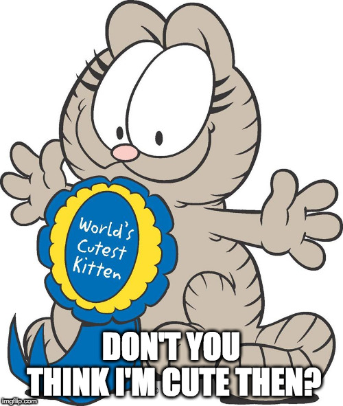 Nermal | DON'T YOU THINK I'M CUTE THEN? | image tagged in nermal | made w/ Imgflip meme maker
