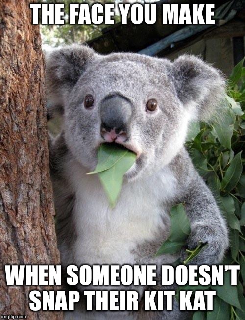 Suprised Koala | THE FACE YOU MAKE; WHEN SOMEONE DOESN’T SNAP THEIR KIT KAT | image tagged in suprised koala | made w/ Imgflip meme maker