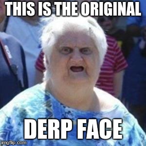 WAT Lady |  THIS IS THE ORIGINAL; DERP FACE | image tagged in wat lady | made w/ Imgflip meme maker