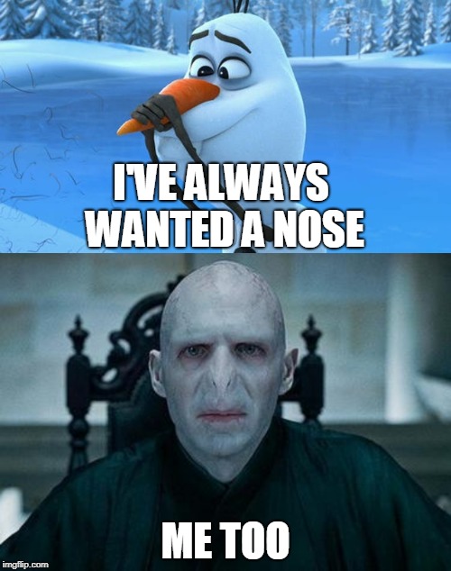 Jealous Voldemort | I'VE ALWAYS WANTED A NOSE; ME TOO | image tagged in harry potter,olaf,voldemort,lord voldemort,frozen | made w/ Imgflip meme maker