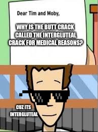 WHY IS THE BUTT CRACK CALLED THE INTERGLUTEAL CRACK FOR MEDICAL REASONS? CUZ ITS INTERGLUTEAL | image tagged in dear tim and moby | made w/ Imgflip meme maker