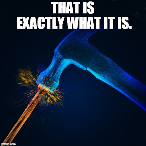 exactly | THAT IS EXACTLY WHAT IT IS. | image tagged in exactly | made w/ Imgflip meme maker
