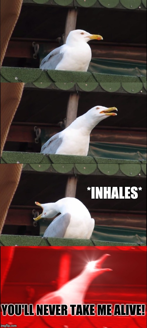 Inhaling Seagull Meme | *INHALES* YOU'LL NEVER TAKE ME ALIVE! | image tagged in memes,inhaling seagull | made w/ Imgflip meme maker