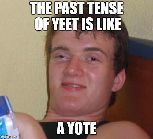 Yote Yote Yote | THE PAST TENSE OF YEET IS LIKE; A YOTE | image tagged in memes,10 guy,yeet | made w/ Imgflip meme maker