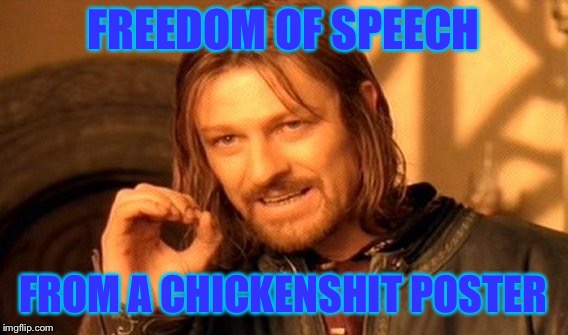 One Does Not Simply Meme | FREEDOM OF SPEECH FROM A CHICKENSHIT POSTER | image tagged in memes,one does not simply | made w/ Imgflip meme maker