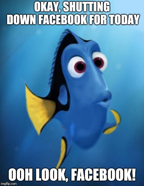 Dory | OKAY, SHUTTING DOWN FACEBOOK FOR TODAY; OOH LOOK, FACEBOOK! | image tagged in dory | made w/ Imgflip meme maker