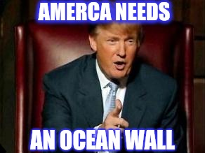 Donald Trump | AMERCA NEEDS AN OCEAN WALL | image tagged in donald trump | made w/ Imgflip meme maker