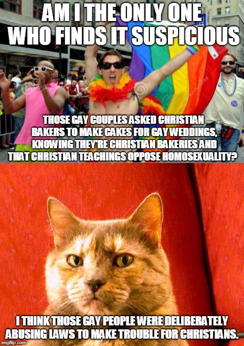 gay sorry 'bout the tag before | AM I THE ONLY ONE WHO FINDS IT SUSPICIOUS; THOSE GAY COUPLES ASKED CHRISTIAN BAKERS TO MAKE CAKES FOR GAY WEDDINGS, KNOWING THEY'RE CHRISTIAN BAKERIES AND THAT CHRISTIAN TEACHINGS OPPOSE HOMOSEXUALITY? I THINK THOSE GAY PEOPLE WERE DELIBERATELY ABUSING LAWS TO MAKE TROUBLE FOR CHRISTIANS. | image tagged in memes,suspicious cat,gay sorry 'bout the tag before,agenda,christian | made w/ Imgflip meme maker