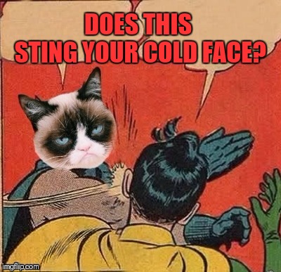 DOES THIS STING YOUR COLD FACE? | made w/ Imgflip meme maker