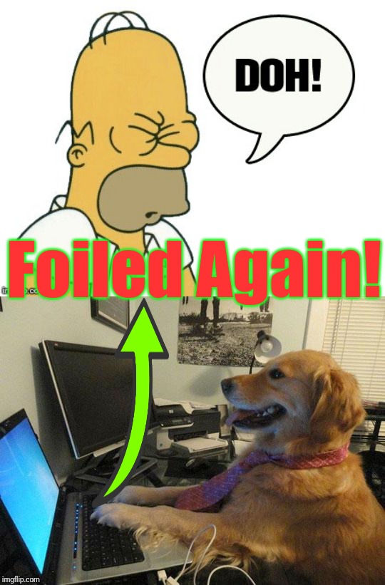 Foiled Again! | image tagged in i have no idea,d'homerde | made w/ Imgflip meme maker