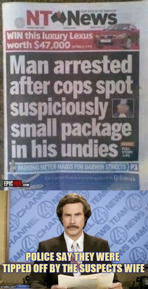First one to make a clever remark about the wife, the cop, & the tip gets a free upvote. | POLICE SAY THEY WERE TIPPED OFF BY THE SUSPECTS WIFE | image tagged in memes,ron burgundy,police,funny headlines | made w/ Imgflip meme maker