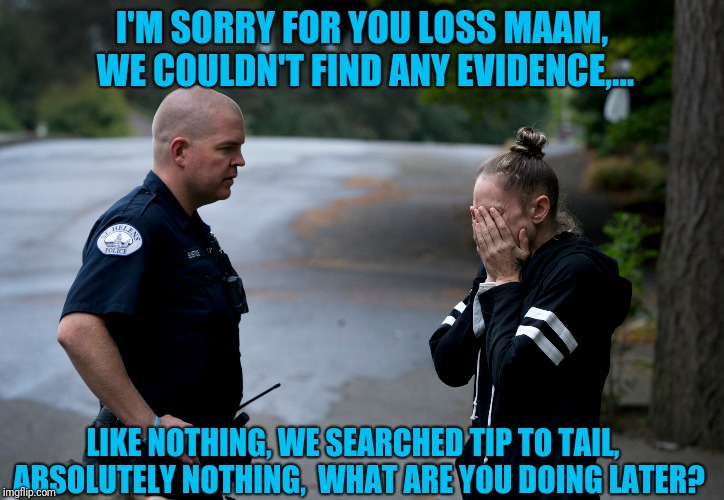 I'M SORRY FOR YOU LOSS MAAM, WE COULDN'T FIND ANY EVIDENCE,... LIKE NOTHING, WE SEARCHED TIP TO TAIL,  ABSOLUTELY NOTHING,  WHAT ARE YOU DOI | made w/ Imgflip meme maker