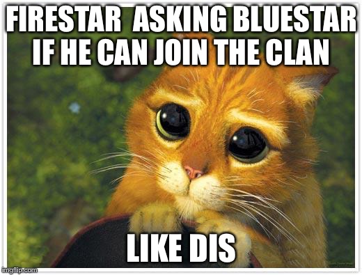 Shrek Cat Meme | FIRESTAR  ASKING BLUESTAR IF HE CAN JOIN THE CLAN; LIKE DIS | image tagged in memes,shrek cat | made w/ Imgflip meme maker