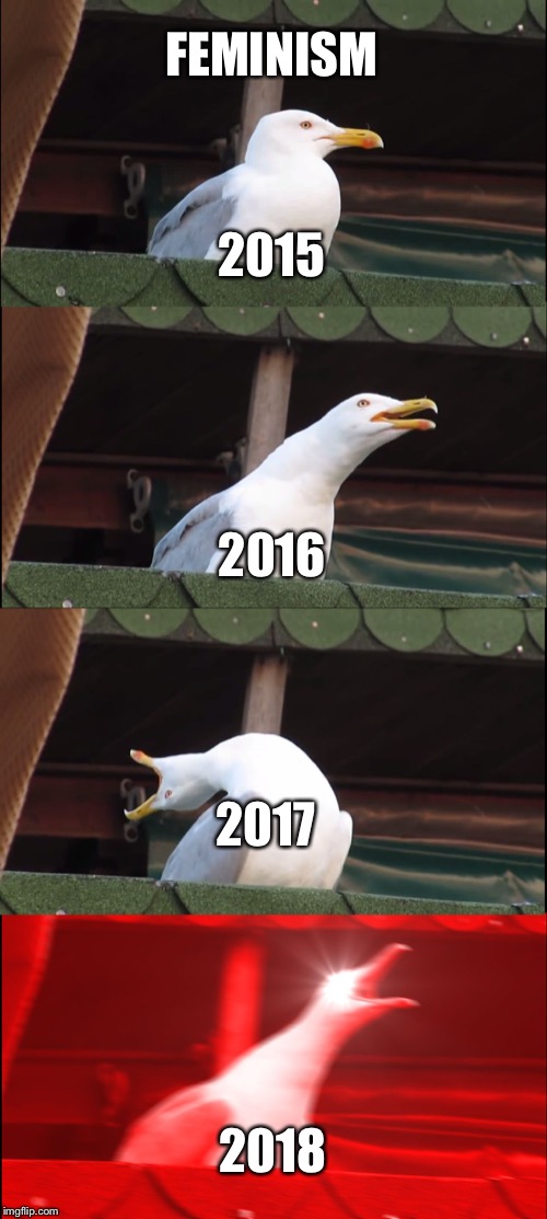 Inhaling Seagull | FEMINISM; 2015; 2016; 2017; 2018 | image tagged in memes,inhaling seagull | made w/ Imgflip meme maker