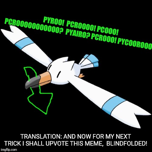 PYROO!  PCROOOO! PCOOO! PCROOOOOOOOOOO?  PYAIRO? PCROOO! PYCOOROOO! TRANSLATION: AND NOW FOR MY NEXT TRICK I SHALL UPVOTE THIS MEME,  BLINDF | image tagged in hydro the wingull | made w/ Imgflip meme maker