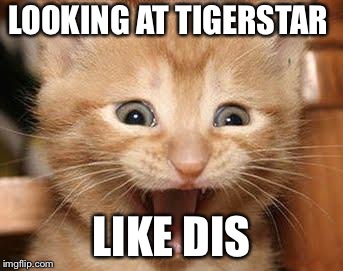 Excited Cat Meme | LOOKING AT TIGERSTAR; LIKE DIS | image tagged in memes,excited cat | made w/ Imgflip meme maker