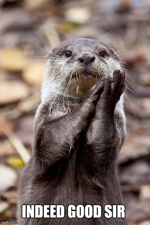 Slow-Clap Otter | INDEED GOOD SIR | image tagged in slow-clap otter | made w/ Imgflip meme maker