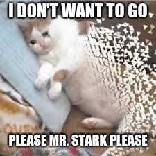 Mr Stark I don't feel so good... | I DON'T WANT TO GO; PLEASE MR. STARK PLEASE | image tagged in mr stark i don't feel so good | made w/ Imgflip meme maker