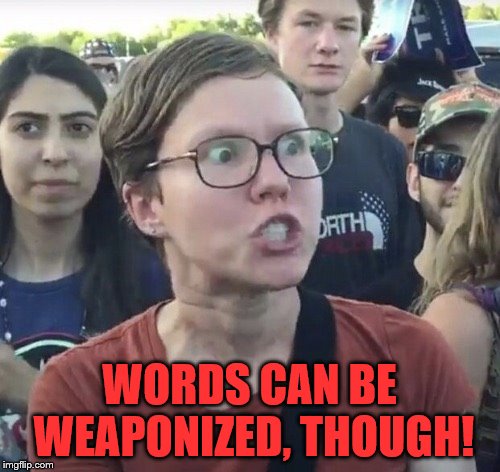 Triggered feminist | WORDS CAN BE WEAPONIZED, THOUGH! | image tagged in triggered feminist | made w/ Imgflip meme maker