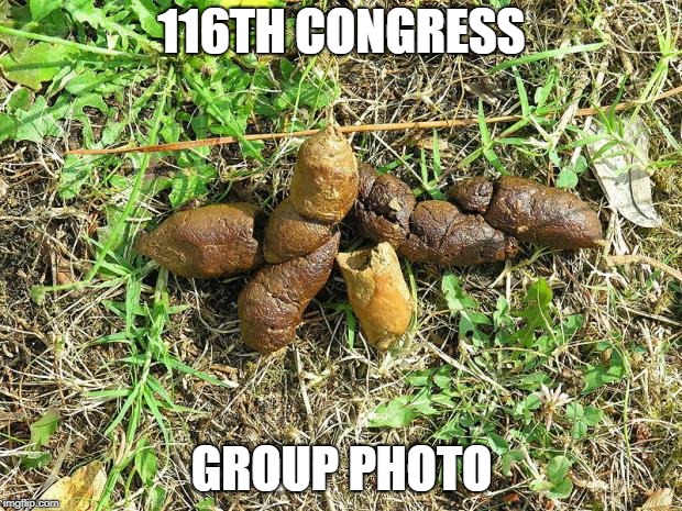 dog turd | 116TH CONGRESS; GROUP PHOTO | image tagged in dog turd | made w/ Imgflip meme maker