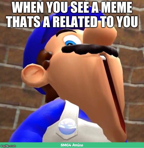 smg4's face | WHEN YOU SEE A MEME THATS A RELATED TO YOU | image tagged in smg4's face | made w/ Imgflip meme maker