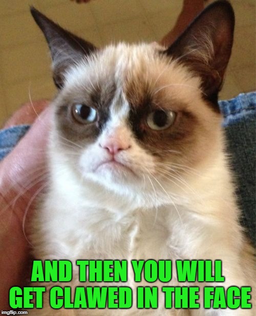 Grumpy Cat Meme | AND THEN YOU WILL GET CLAWED IN THE FACE | image tagged in memes,grumpy cat | made w/ Imgflip meme maker